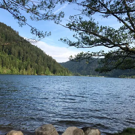 Le Tremplin - Wifi, Bbq, Parking * Xonrupt-Longemer