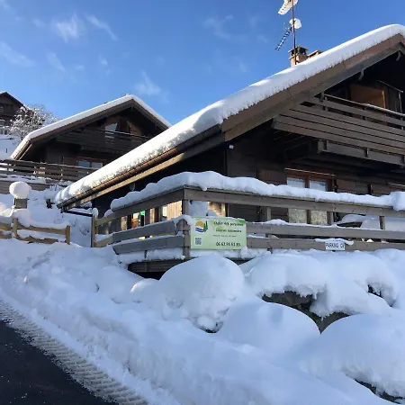 O Tremplin - Wifi, Bbq, Parking * Xonrupt-Longemer