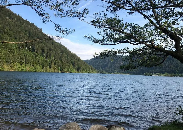 Le Tremplin - Wifi, Bbq, Parking * Xonrupt-Longemer