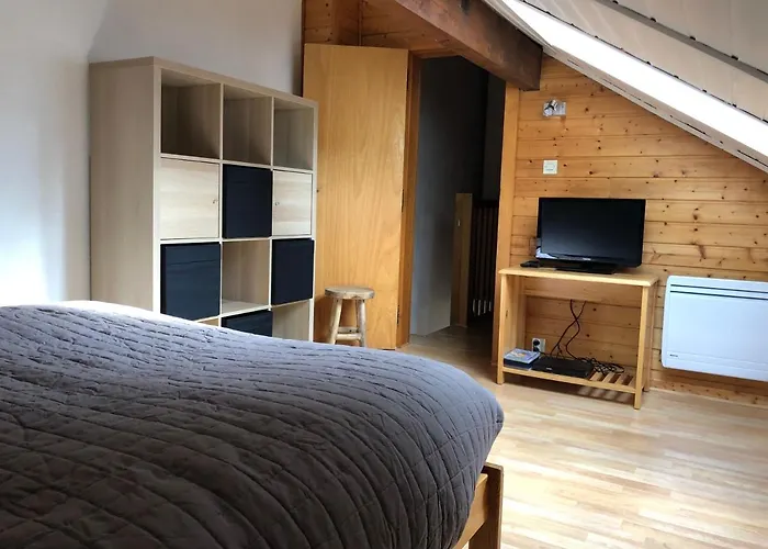 Le Tremplin - Wifi, Bbq, Parking * Xonrupt-Longemer