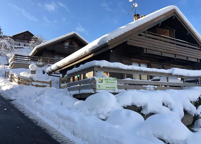 Le Tremplin - Wifi, Bbq, Parking * Xonrupt-Longemer